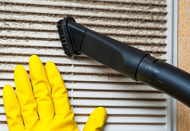Best Air Duct Mold Removal  in Everett, PA